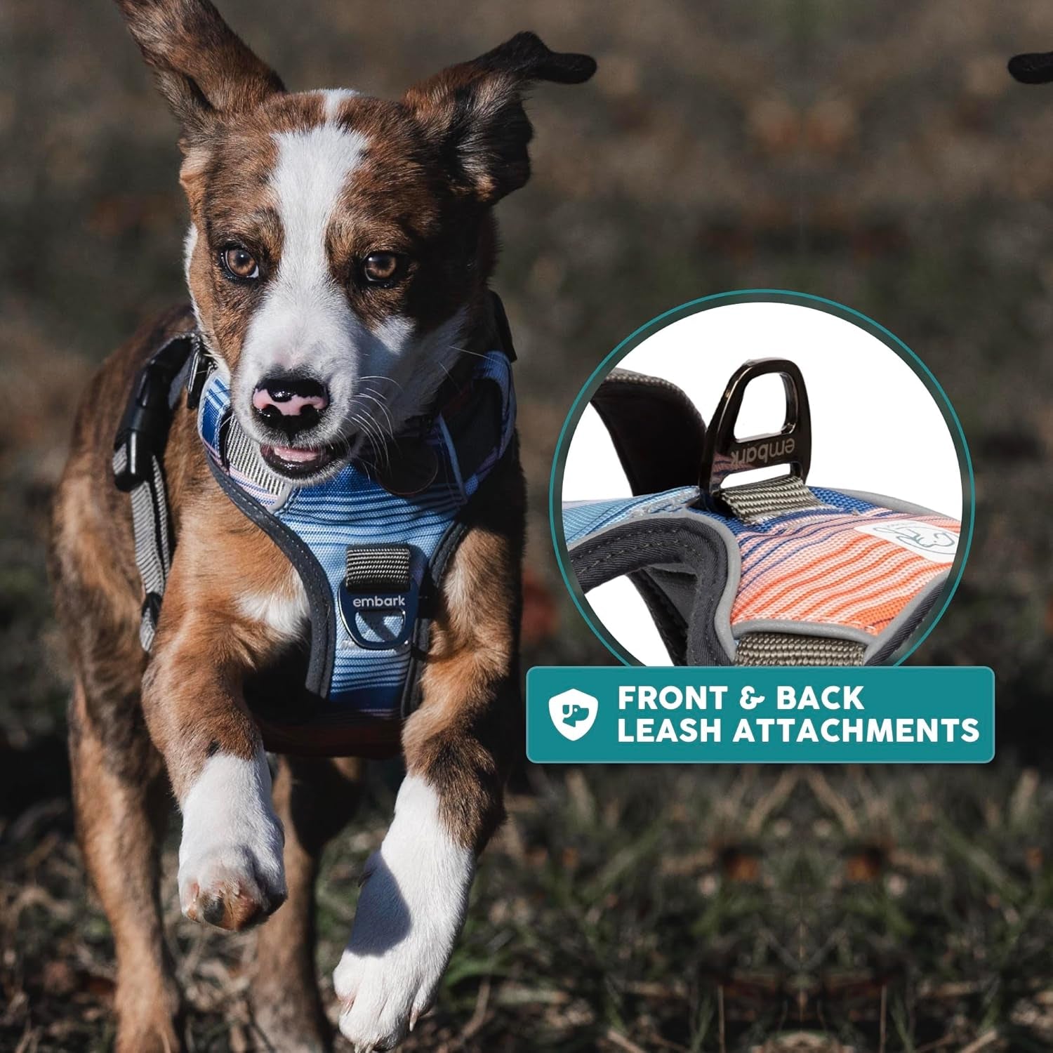 Embark Urban Dog Harness No-Pull Dog Harness for Small Dogs, Medium & Large. 2 Leash Clips, Front & Back with Control Handle, Adjustable Black Dog Vest for Any Breed, Soft & Padded for Comfort