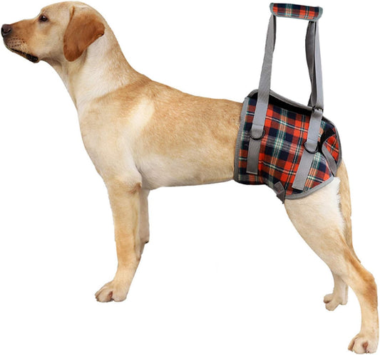 Dog Lift Harness, Grid Pet Rear Support Aid Veterinarian Approved Sling for Old K9 Help with Poor Stability, Back Leg Hip Disabled Joint Injury Elderly Arthritis ACL Rehabilitation Rehab