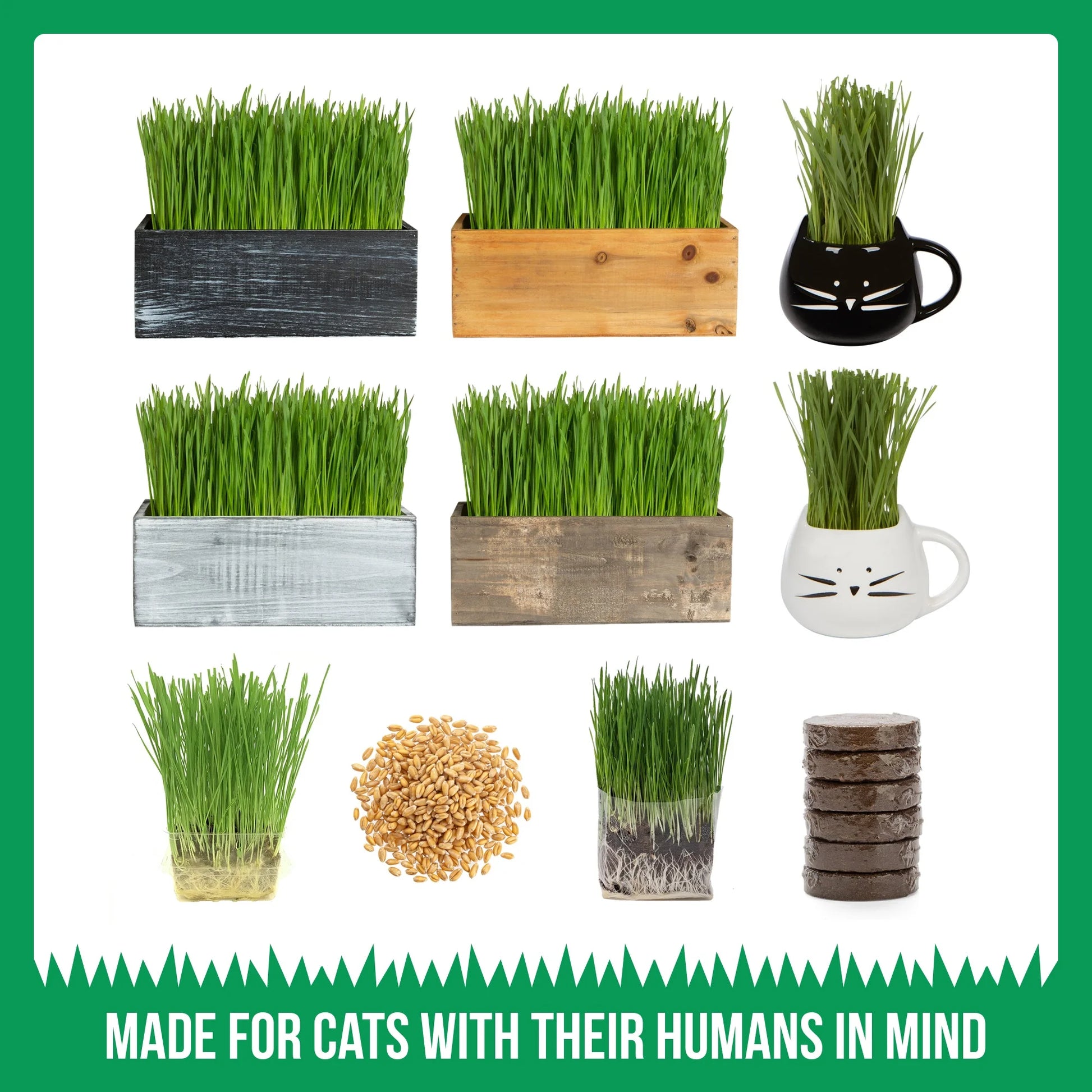 Organic Cat Grass Growing Kit with Black Cat Mug Planter