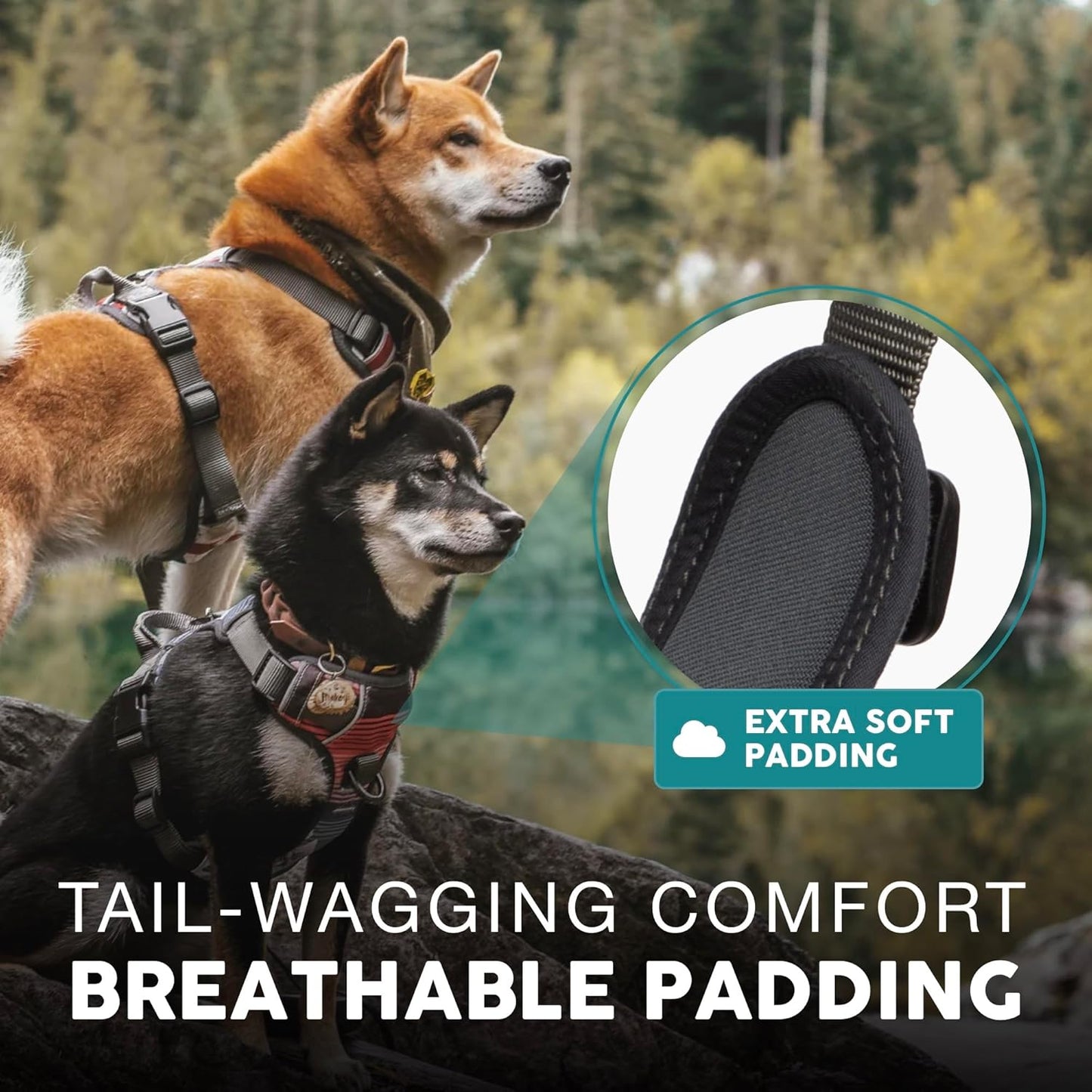 Embark Urban Dog Harness No-Pull Dog Harness for Small Dogs, Medium & Large. 2 Leash Clips, Front & Back with Control Handle, Adjustable Black Dog Vest for Any Breed, Soft & Padded for Comfort