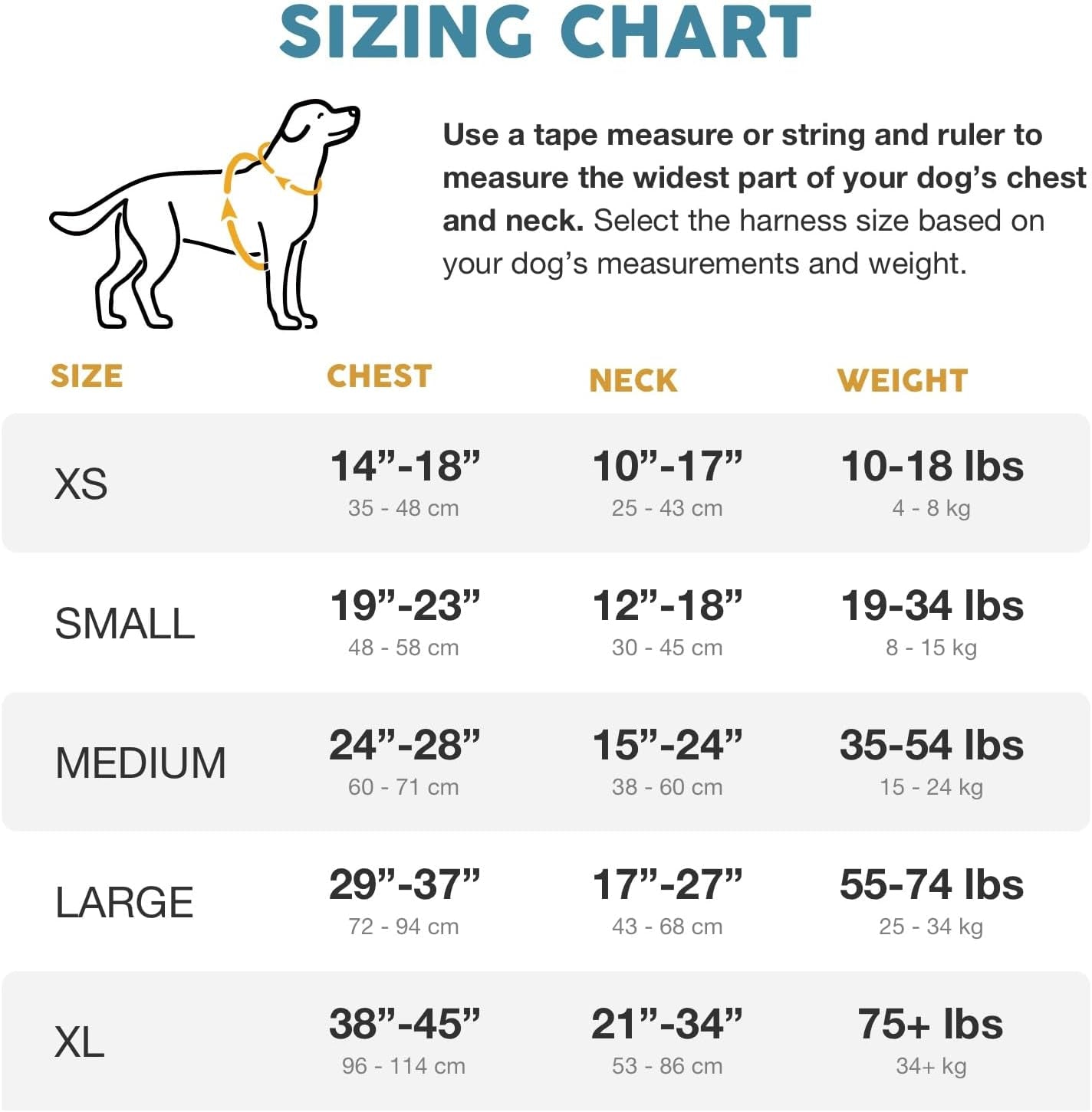 Embark Urban Dog Harness No-Pull Dog Harness for Small Dogs, Medium & Large. 2 Leash Clips, Front & Back with Control Handle, Adjustable Black Dog Vest for Any Breed, Soft & Padded for Comfort